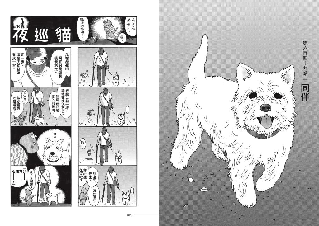 夜巡貓7+8套書(限量加贈「3貓曬太陽」票套)