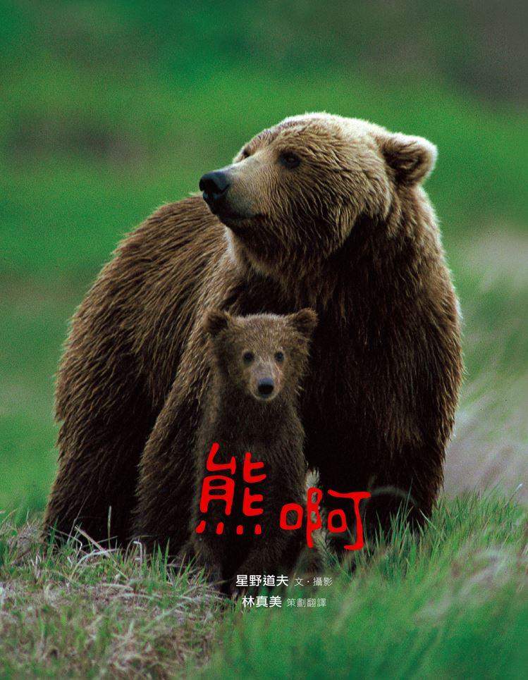 美麗新世界:熊啊