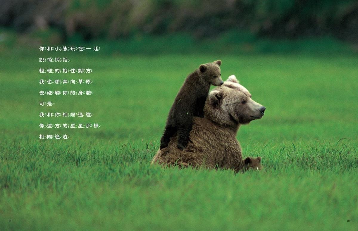 美麗新世界:熊啊