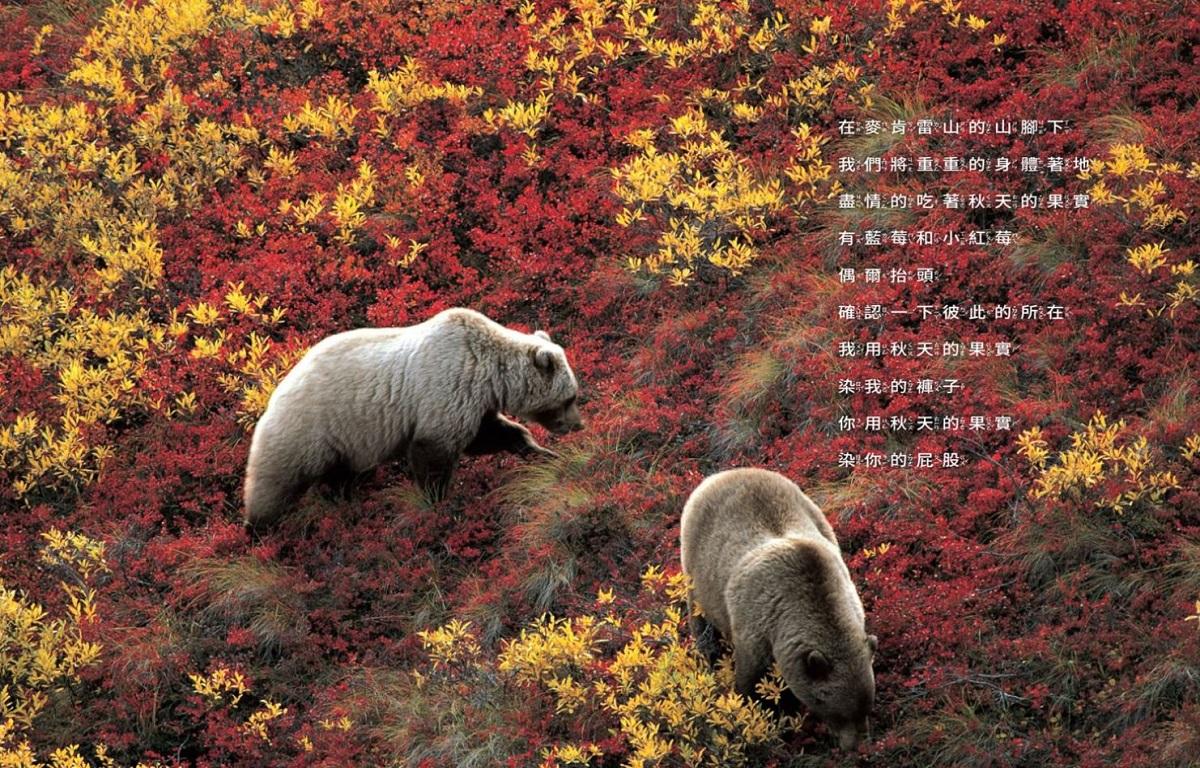 美麗新世界:熊啊