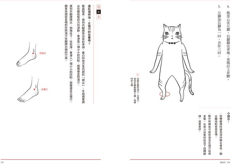 穴道導引:融合莊子、中醫、太極拳、瑜伽的身心放鬆術