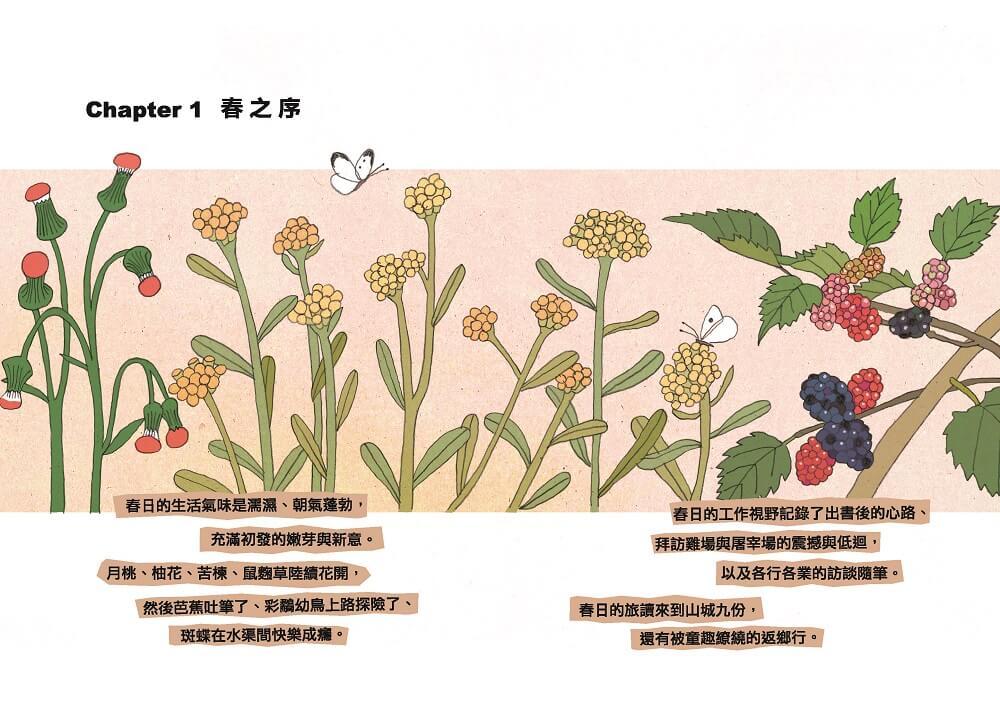 彩鷸在家門前秘密遷徙:自休自足X自由接案的躺平日記