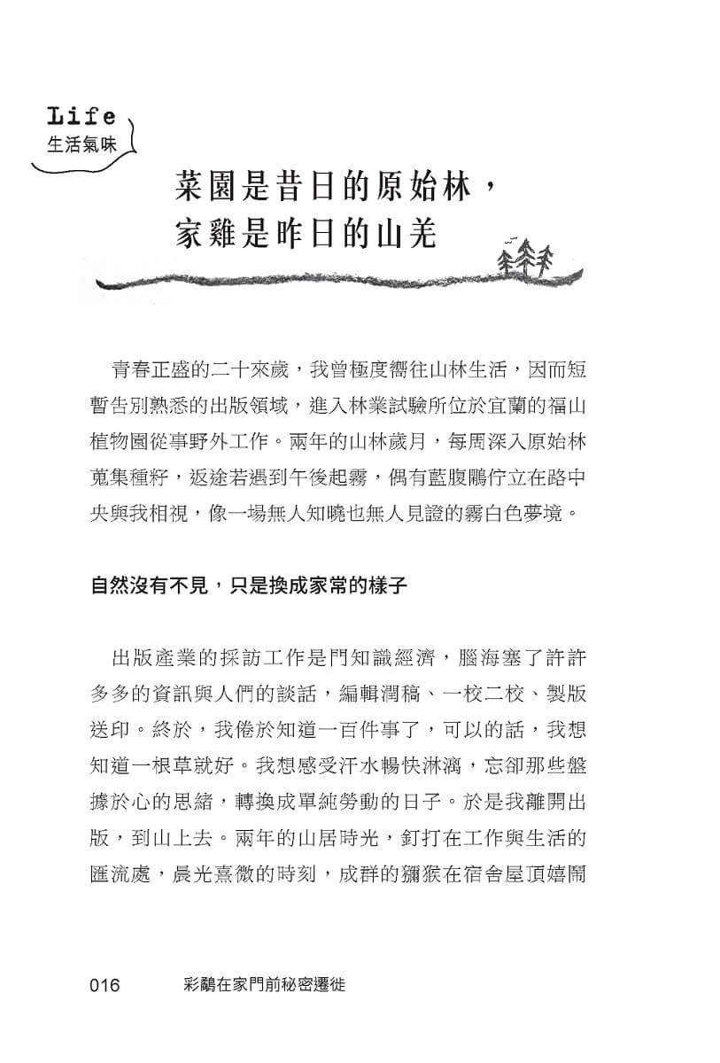 彩鷸在家門前秘密遷徙:自休自足X自由接案的躺平日記