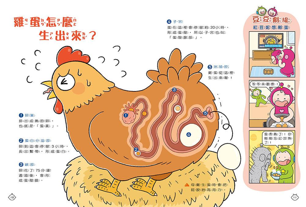 紅豆妮綠豆兵的知識快充站2