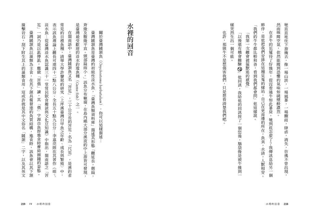 水裡的回音