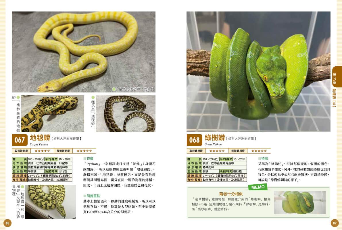 爬蟲•兩棲類實用小圖鑑:精選120個物種!從人氣到稀有,找到最想飼養的小可愛