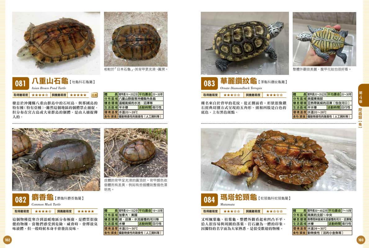 爬蟲•兩棲類實用小圖鑑:精選120個物種!從人氣到稀有,找到最想飼養的小可愛