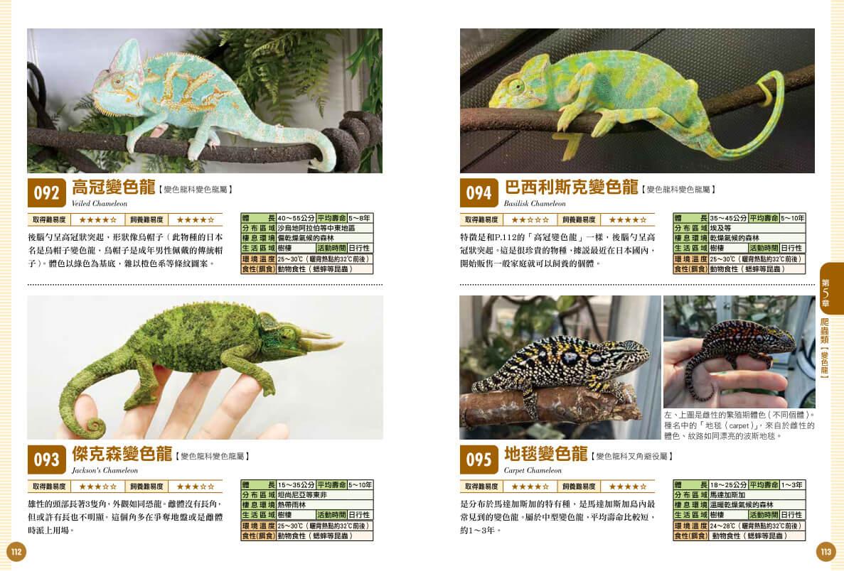 爬蟲•兩棲類實用小圖鑑:精選120個物種!從人氣到稀有,找到最想飼養的小可愛