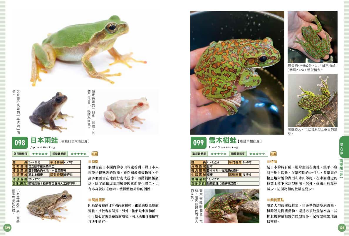 爬蟲•兩棲類實用小圖鑑:精選120個物種!從人氣到稀有,找到最想飼養的小可愛