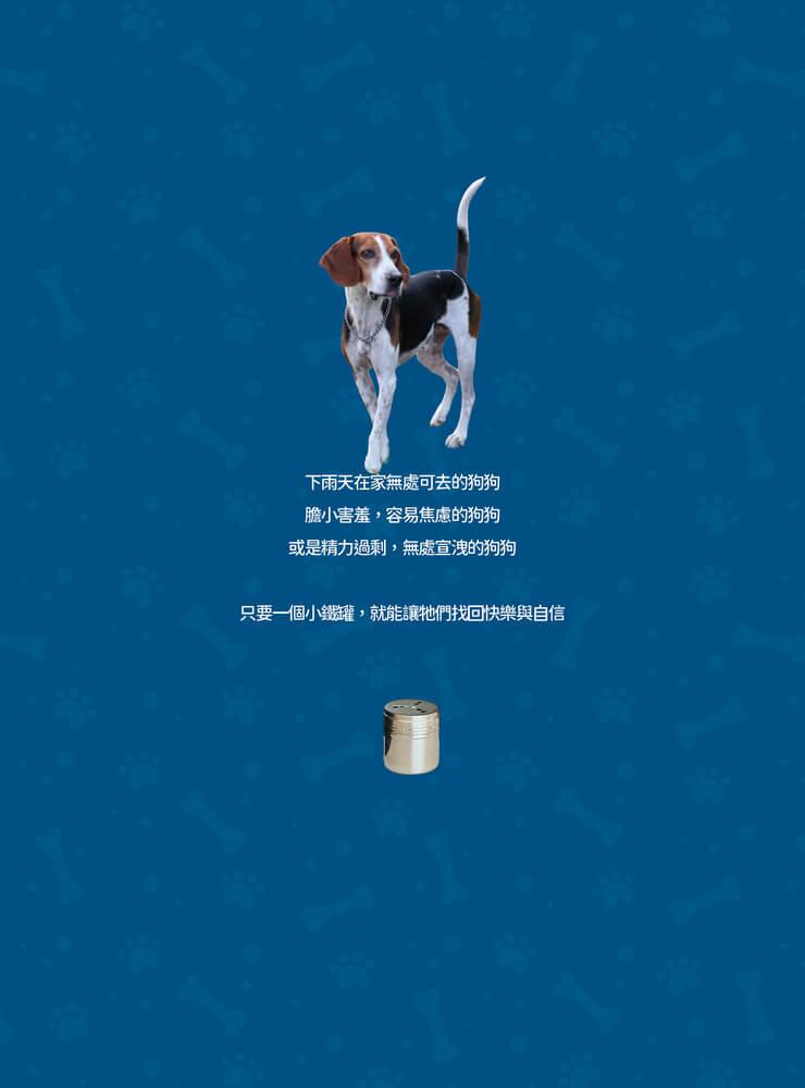 我家狗狗是天生偵探:10週嗅聞遊戲,解放毛孩的鼻子天賦