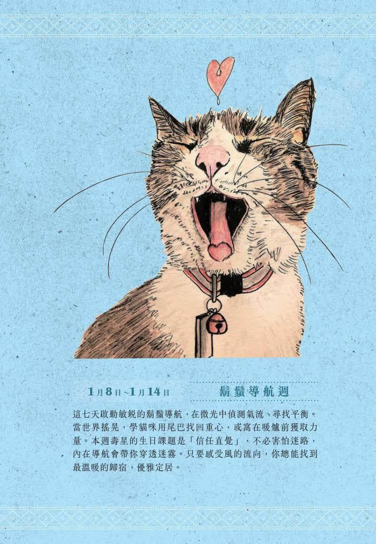 一日一句貓耳語【首刷限量隨書贈貓糰子A6資料夾】:讓貓咪每天為你不停加油!