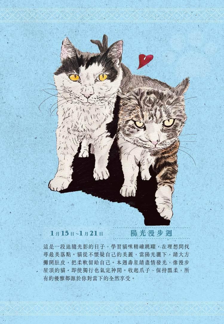 一日一句貓耳語【首刷限量隨書贈貓糰子A6資料夾】:讓貓咪每天為你不停加油!