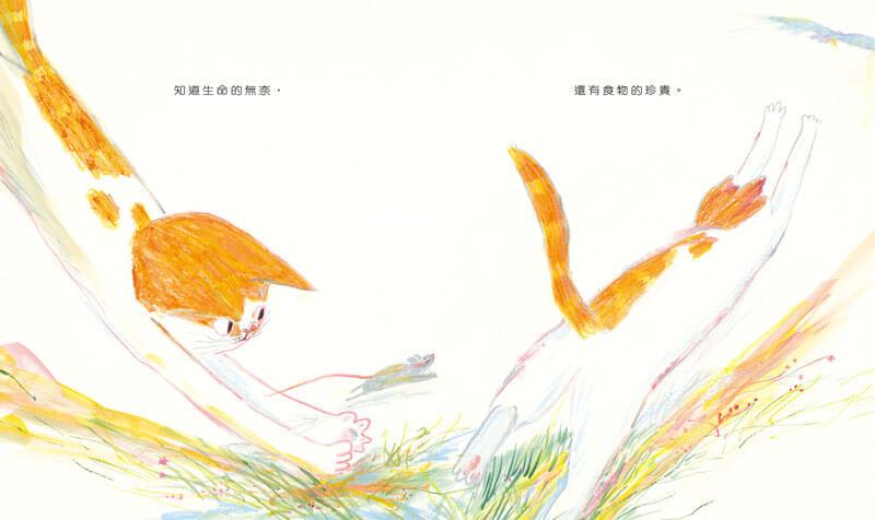 貓什麼都知道