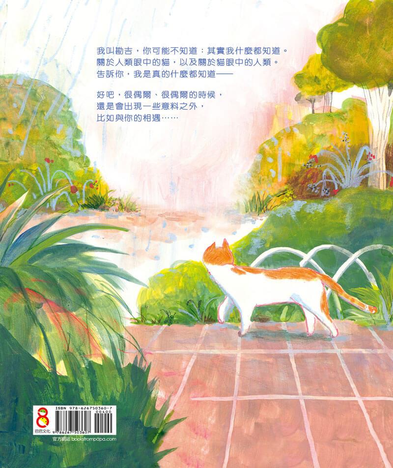 貓什麼都知道