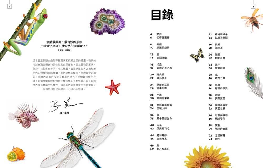 小小觀察家的自然博物館:收藏自然界繽紛的形態與色彩,看見地球萬物的奧妙