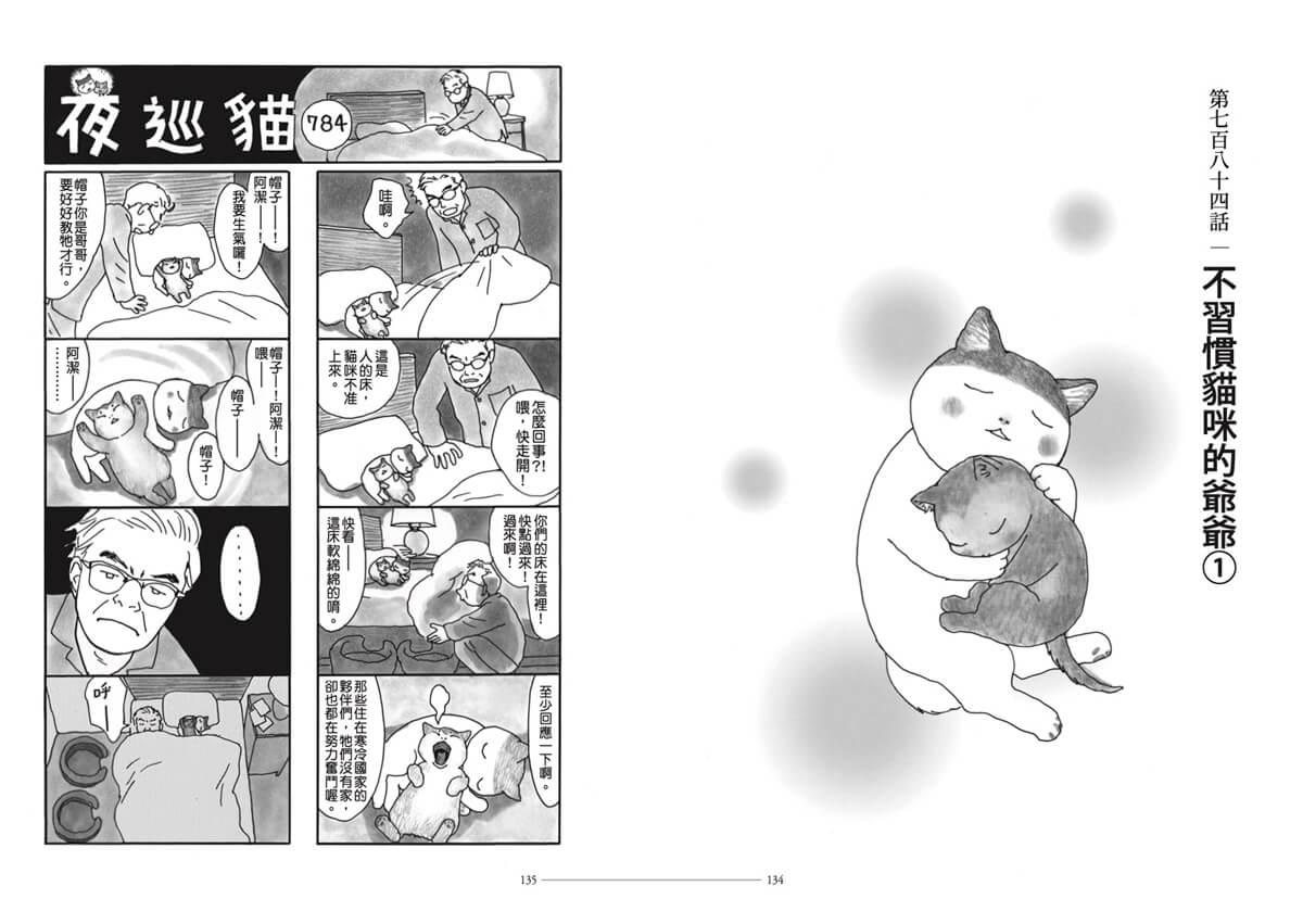 夜巡貓9
